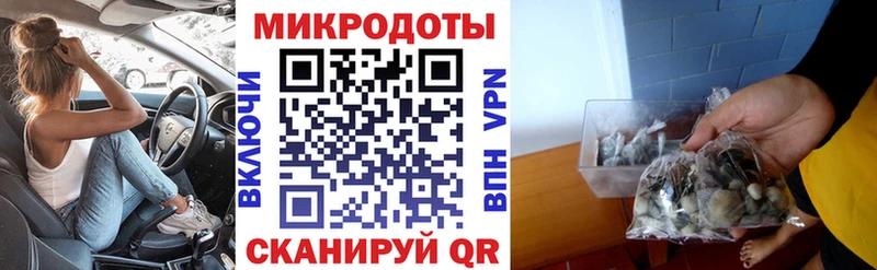 Купить  Иннополис  Псилоцибиновые грибы мицелий 